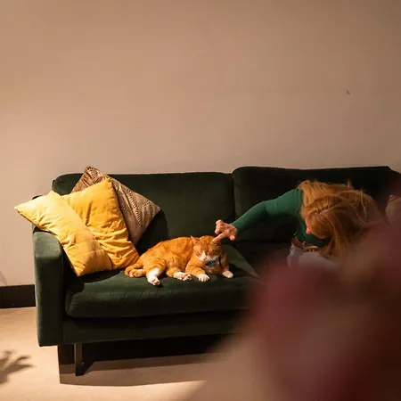 Trip Amsterdam-zaandam *